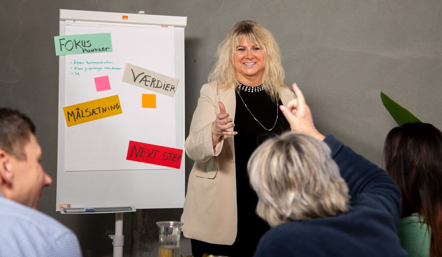 Master of the Test med TT38 webinar og workshops for certificerede brugere
